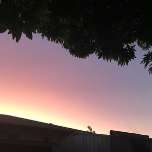 Meet your Posher, Georgia